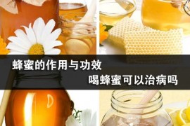 蜂蜜的作用与功效 喝蜂蜜可以治病吗