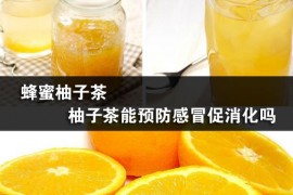 蜂蜜柚子茶 柚子茶能预防感冒促消化吗