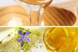 蜂蜜的作用与功效 蜂蜜的12个经典功效