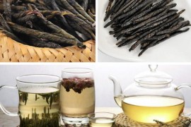 蜂蜜苦丁茶怎么做 它能治疗咽炎吗